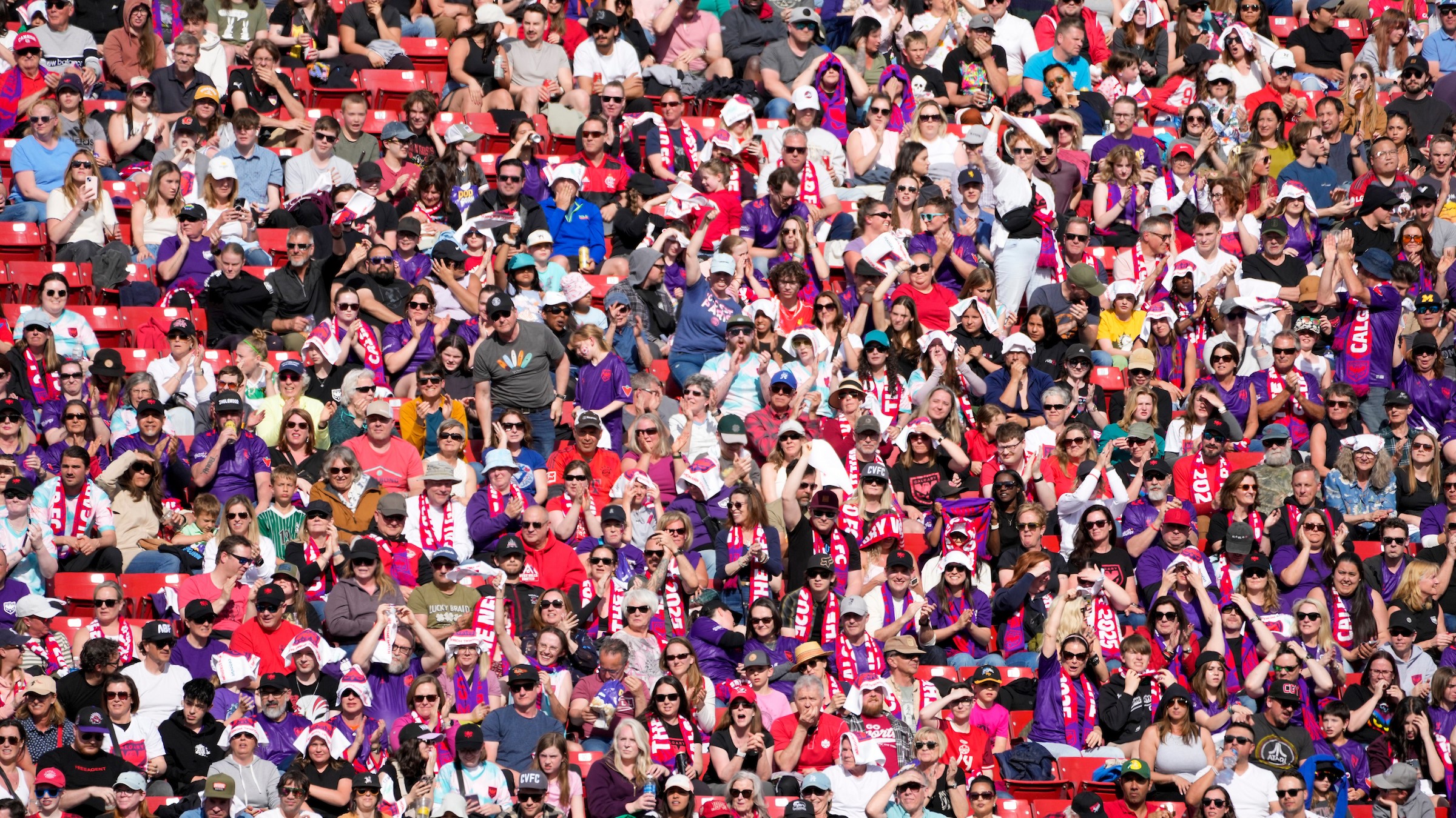 wildcopy lic banner image